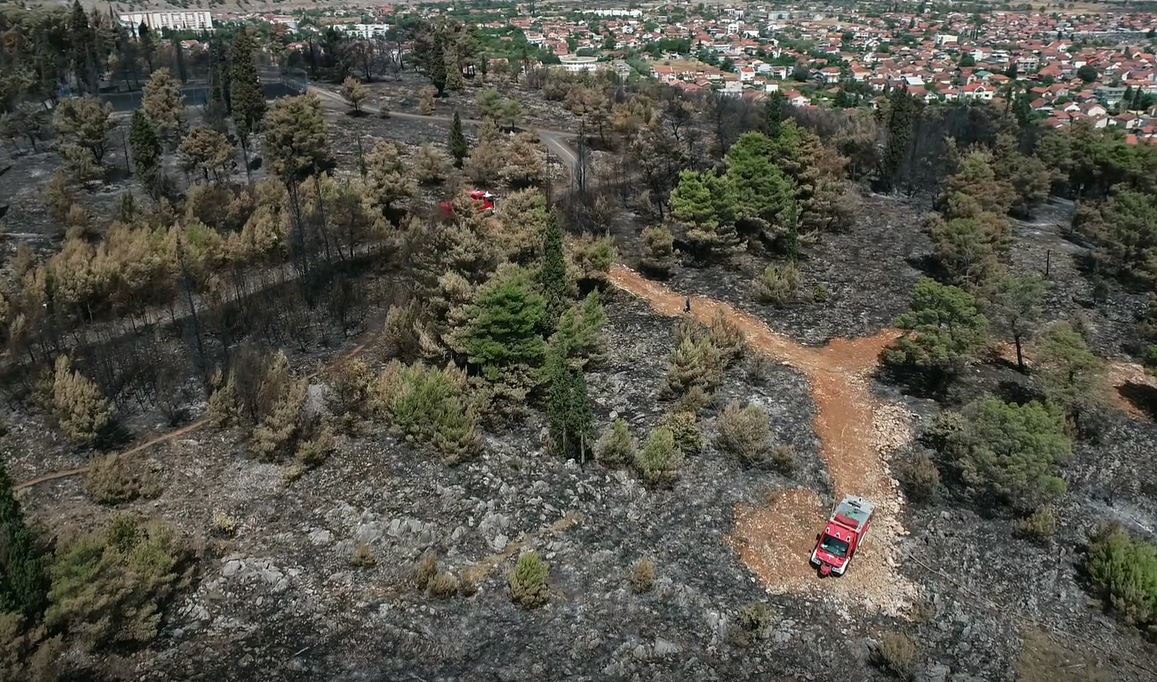 Savez vatrogasaca: Nadležni da hitno reaguju i pronađu osobe koje su zapalile Goricu, očekujemo osudu Krivokapića i MUP-a