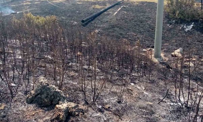 Požari ugrozili elektrodistributivne objekte i mrežu