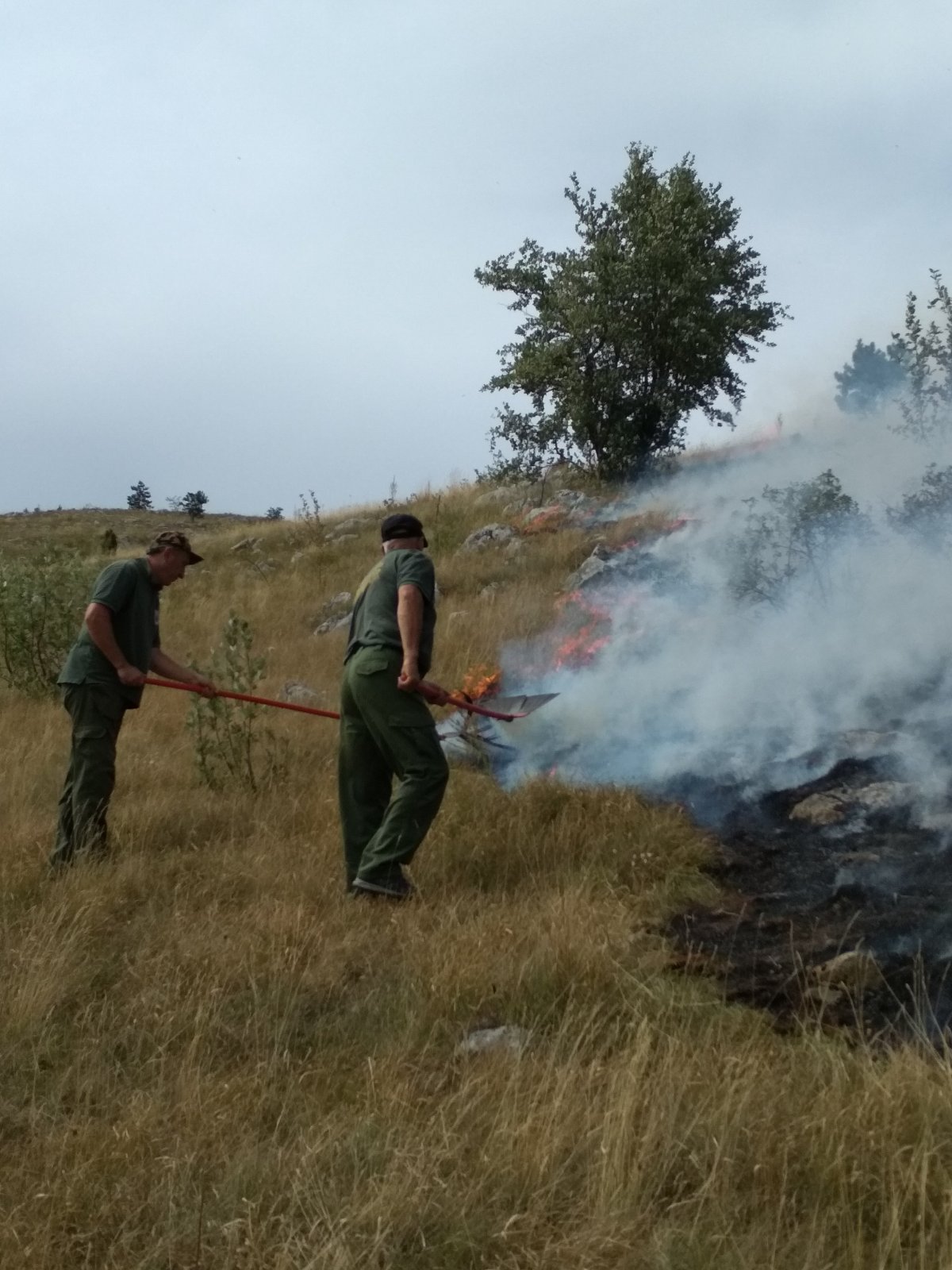 Kljajević: Nadležni organi da se hitno uključe u gašenje požara u NP Durmitor!