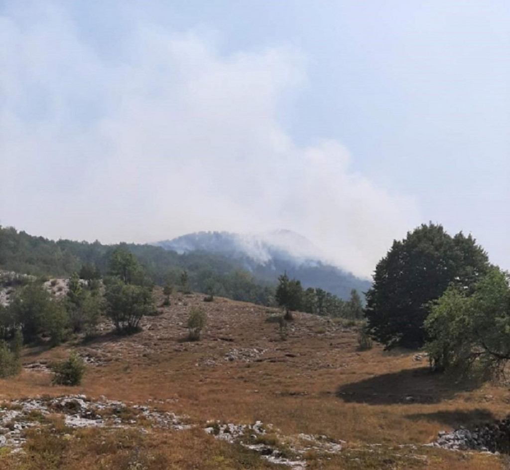 Katunska nahija: Požar i dalje bukti, vatra se približava kućama