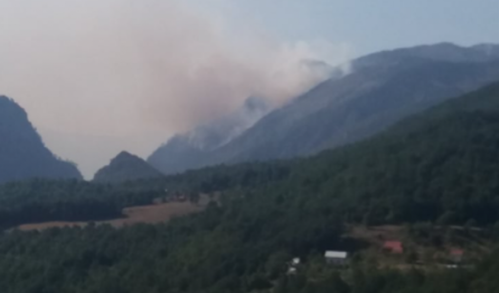 Požar u kanjonu Tare ide u dva pravca