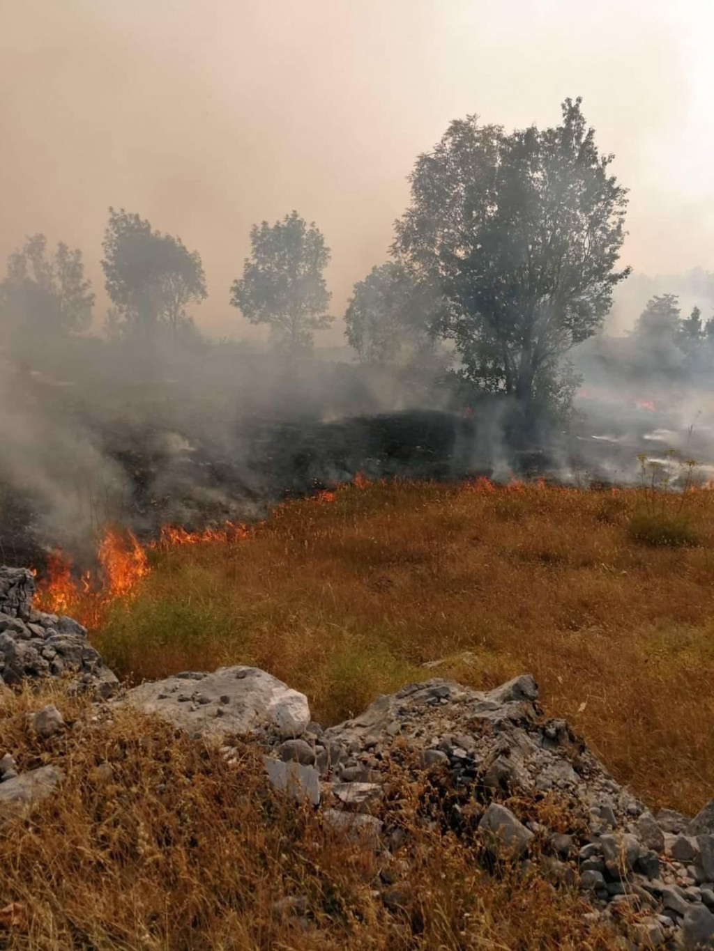 Spašene kuće od požara u kučkim selima Momče i Stravče
