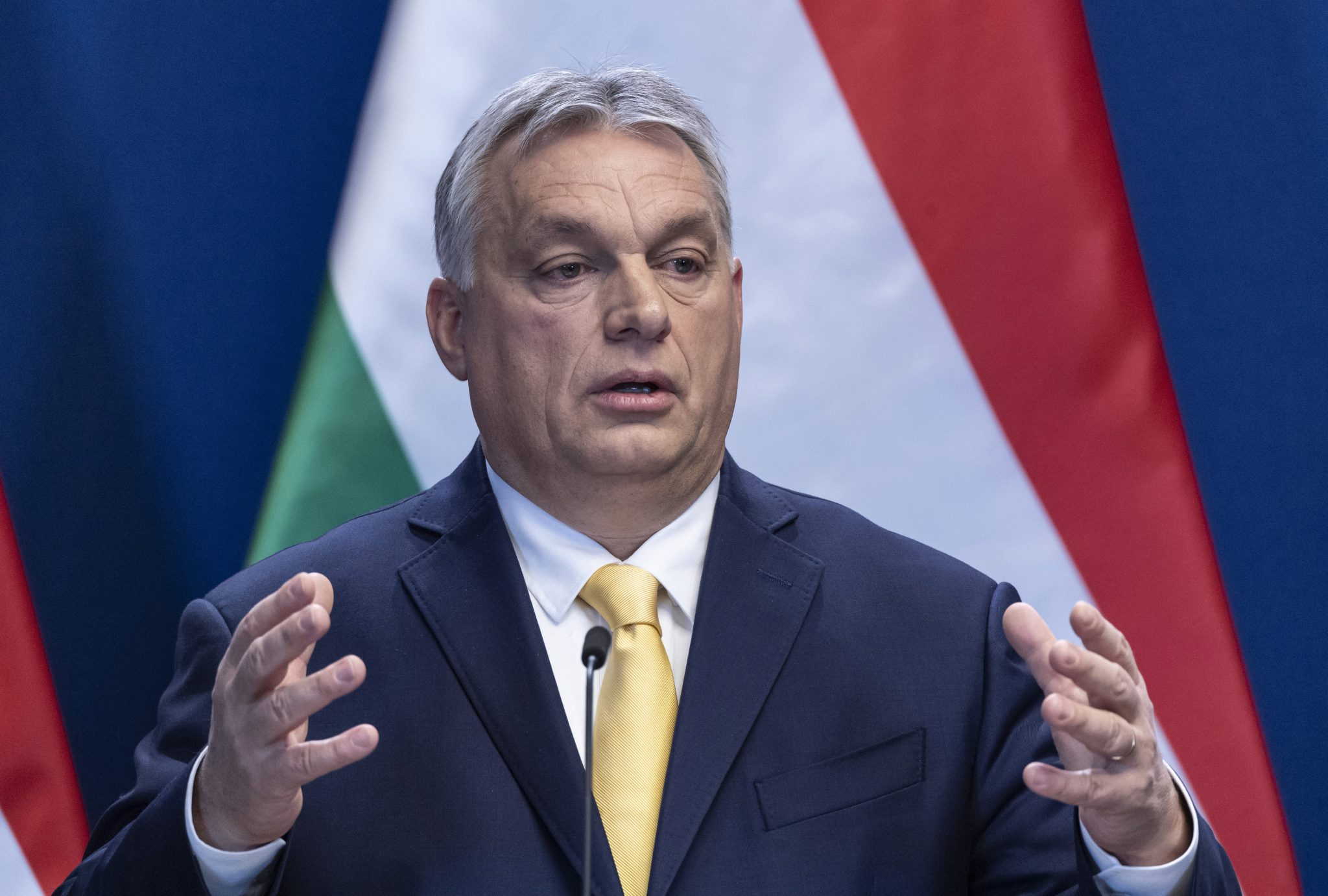 Da je Srbija već primljena u EU, svi bismo bili sigurniji