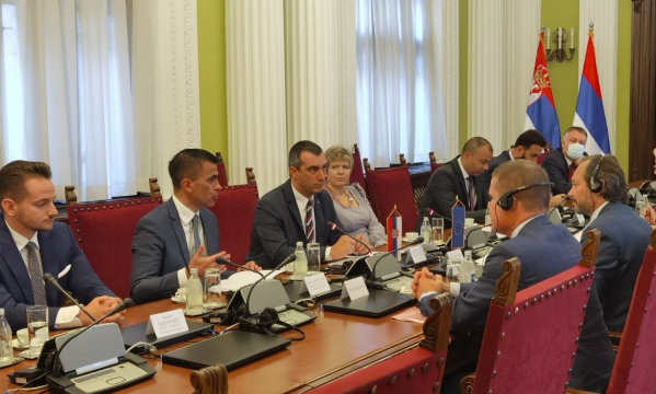 Orlić: Narodna skupština ozbiljno pristupa reformama