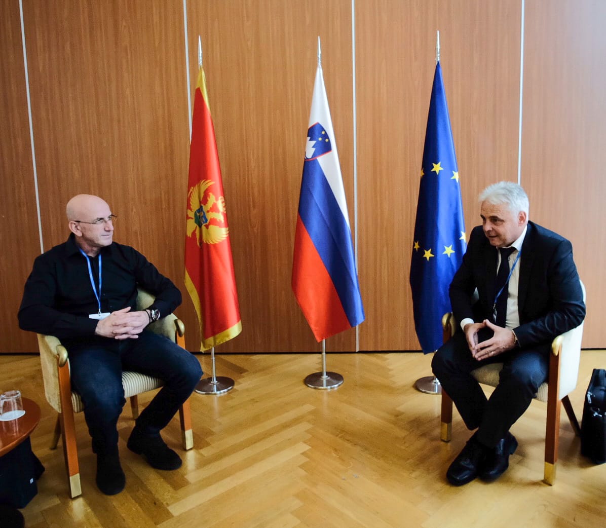 Bešović-Tmušić: Slovenija i Crna Gora da intenziviraju saradnju u oblasti civilne zaštite