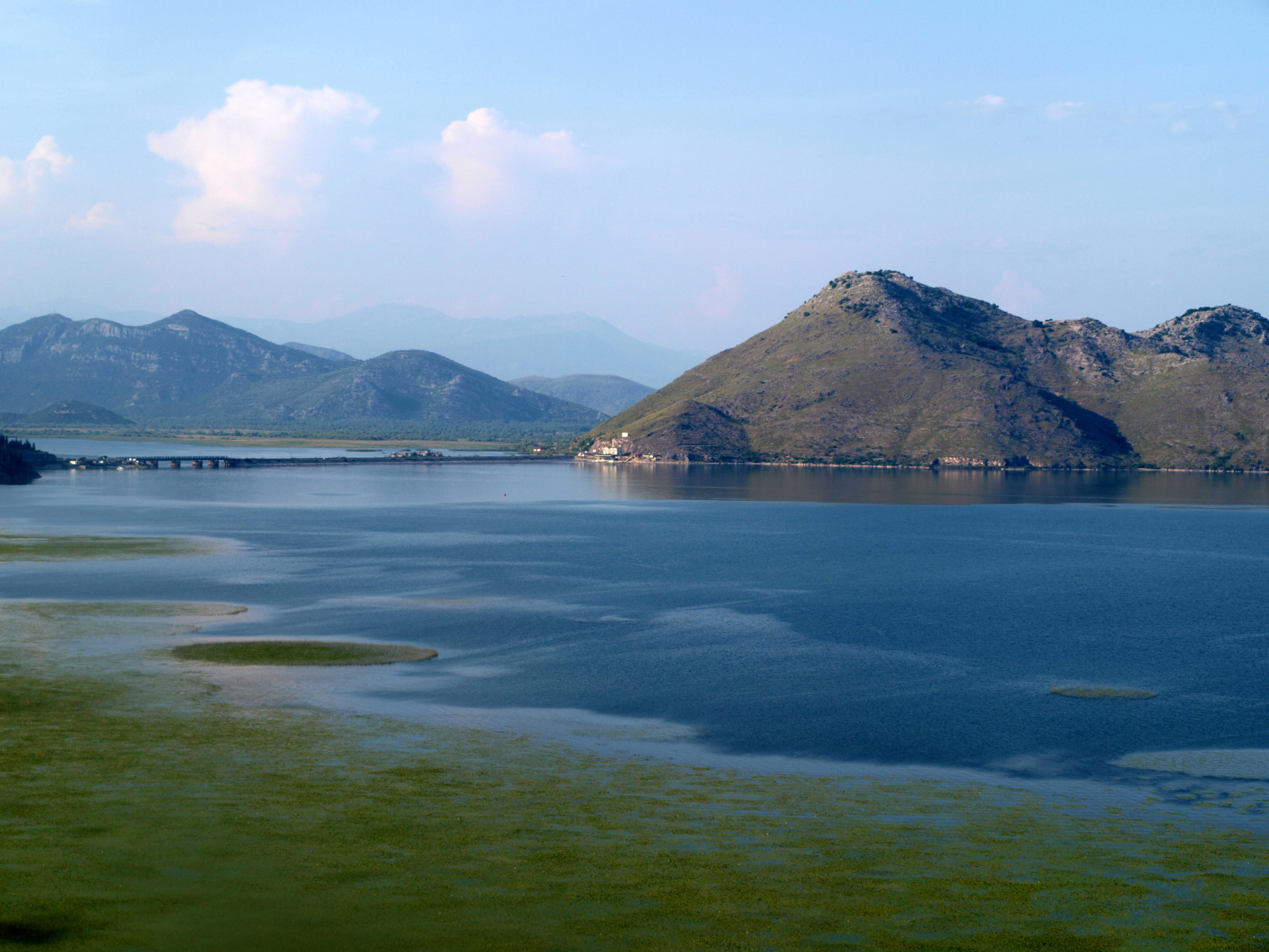 Spriječen krivolov u NP Skadarsko jezero u reonu Malo blato