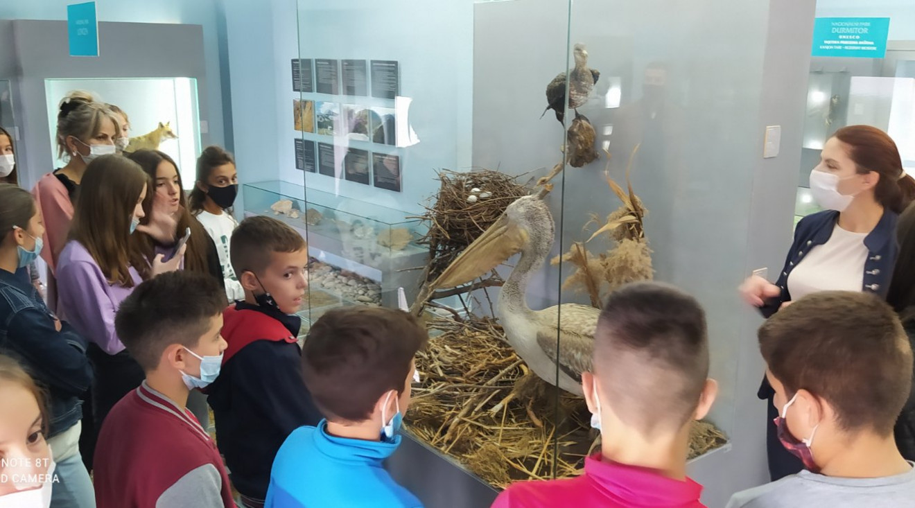Nacionalni parkovi Crne Gore edukativnim radionicama obilježili Dan zaštite Dinarida