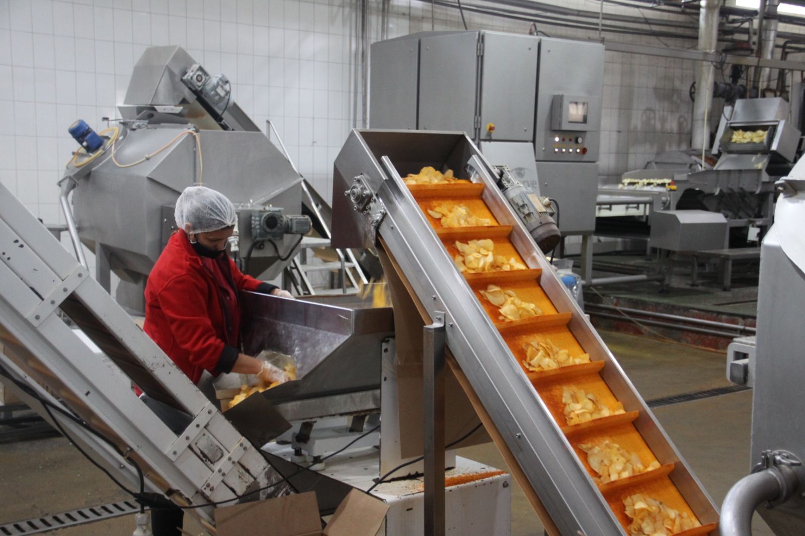 Aktivnosti na realizaciji investicije – otvaranje fabrike čipsa i smokija u Crnoj Gori