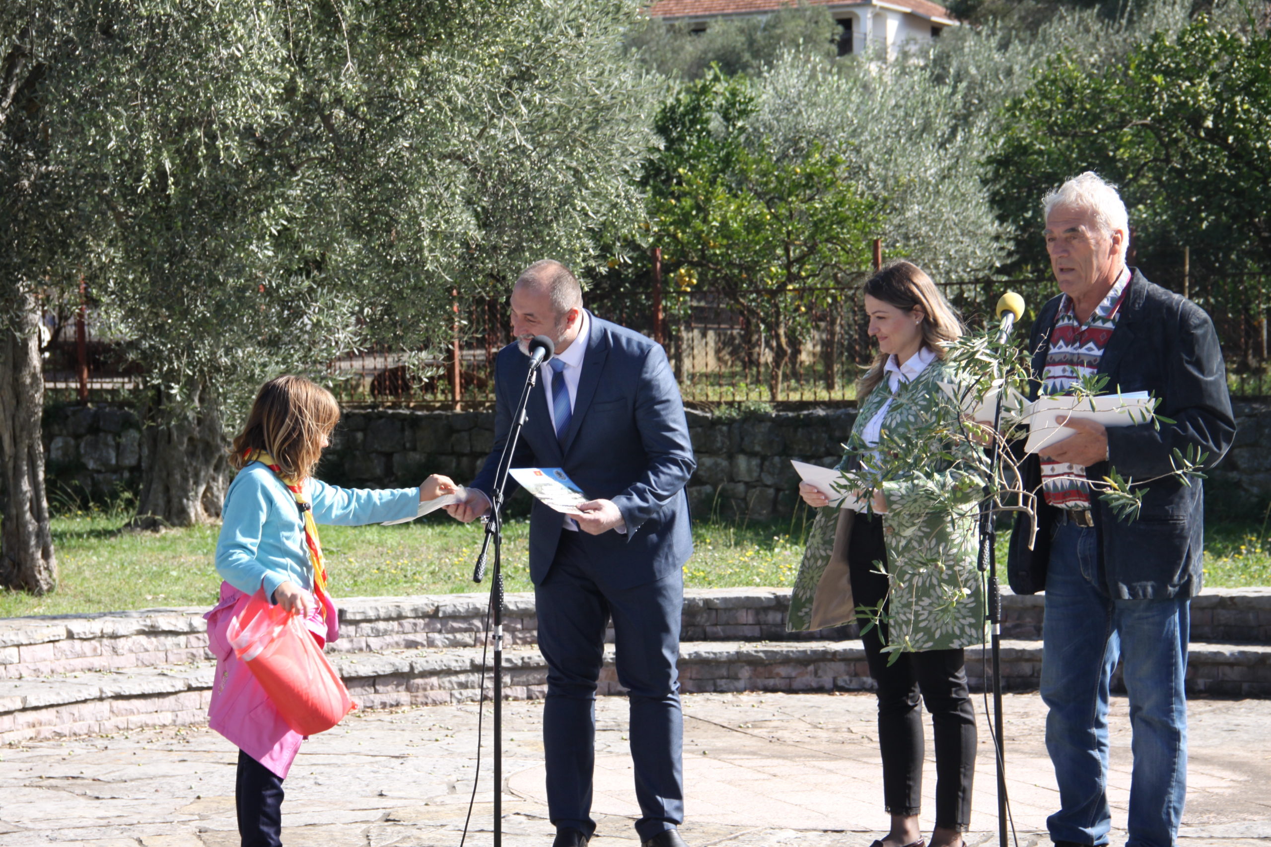 U Starom Baru obilježen početak berbe maslina