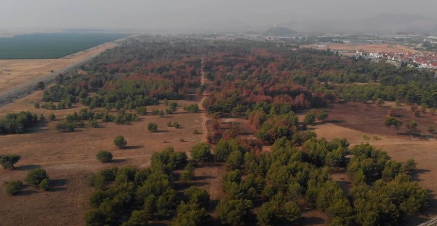 NVO Green Home: Sanirati Ćemovsko polje