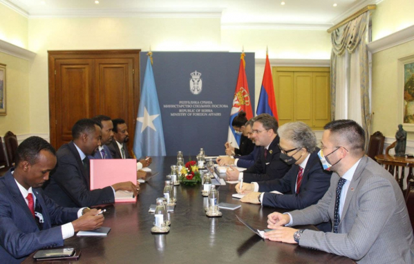 Selaković: Unaprediti ekonomsku saradnju Srbije i Somalije