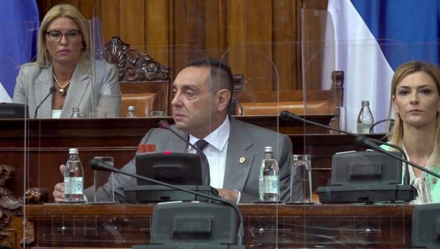 Vulin: Reći za Srbiju da je fašistička zemlja je strašna i grozna uvreda