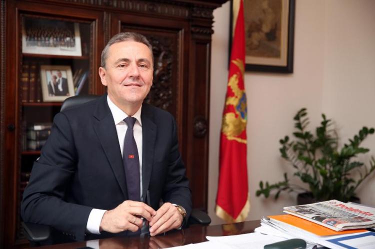 Žugić: Rast ekonomije u ovoj godini 11 odsto