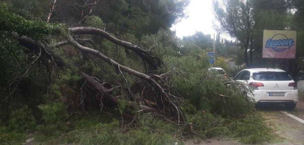 Stablo se obrušilo na putu Bar-Sutomore