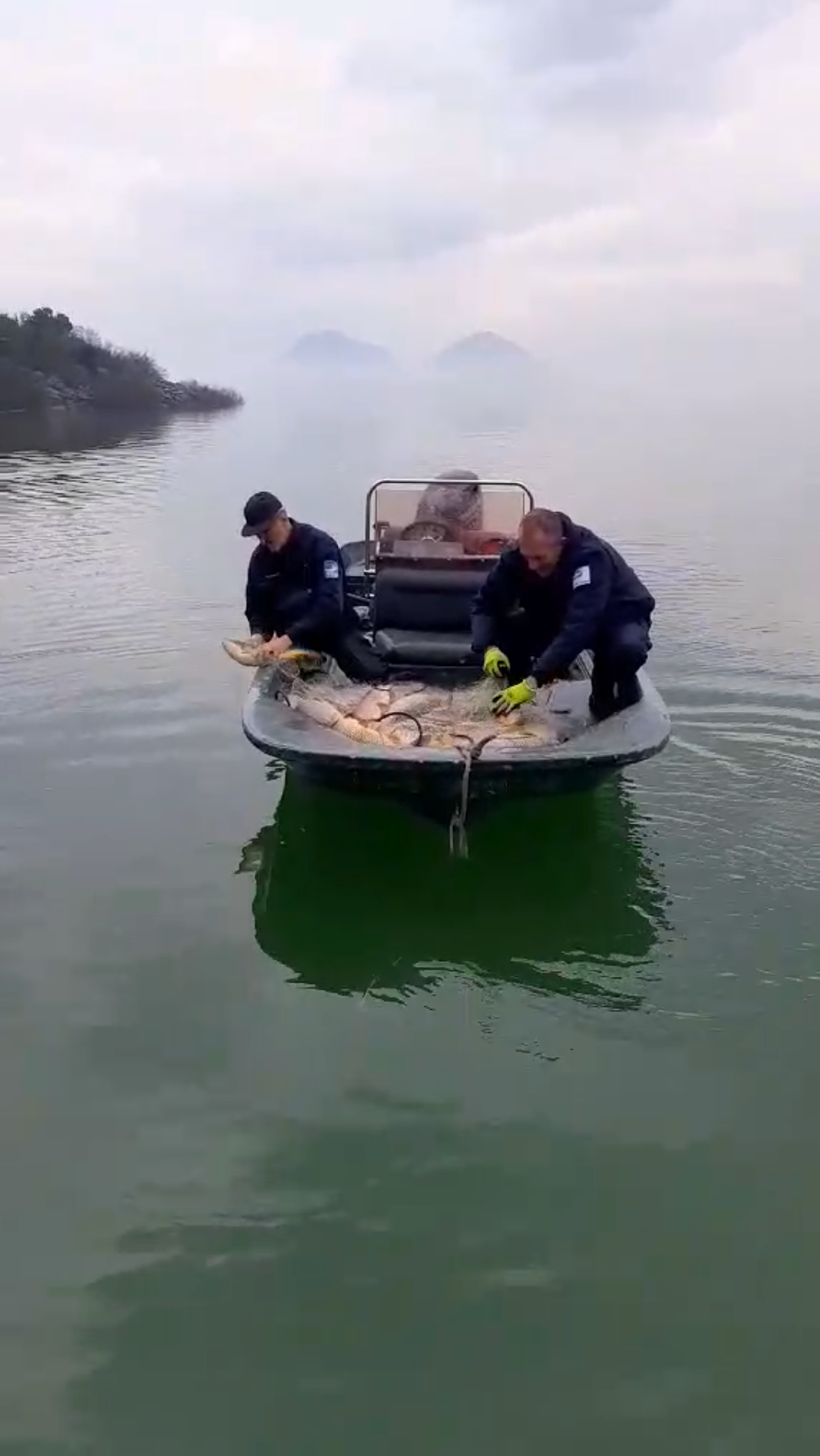 NP Skadarsko jezero: Tona zaplijenjene ribe vraćena u jezero