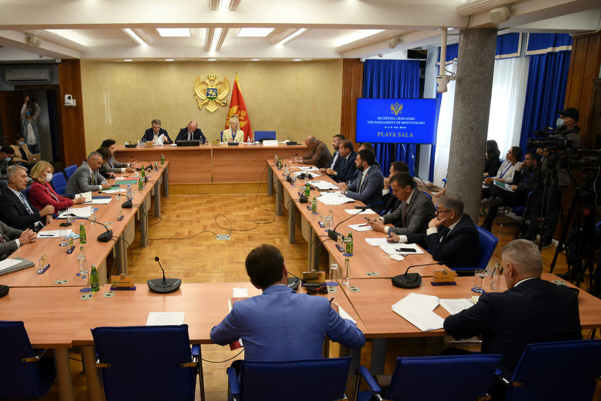 Na odboru za bezbjednost i odbranu: Danas kontrolno saslušanje u vezi zaplijene kokaina