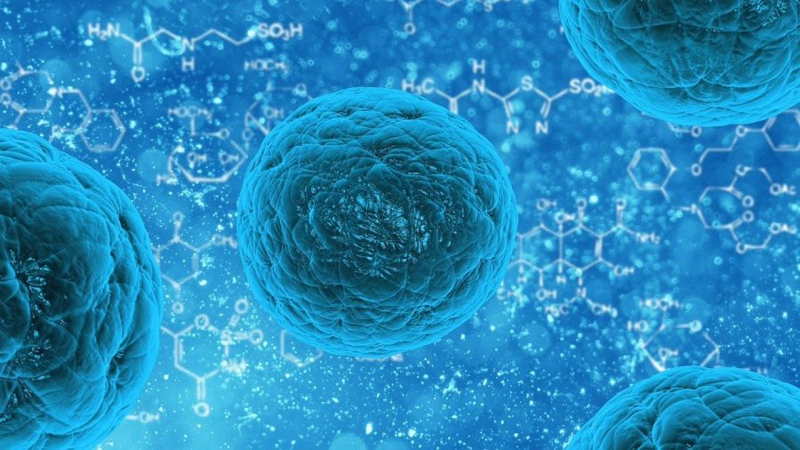 Virologija: Virusi odgovorni i za razvoj mozga