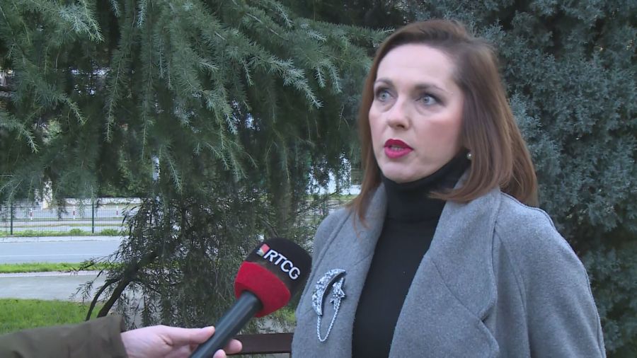 Mihailović iz Udruženja roditelja poručila: Bolje produžetak raspusta nego onlajn nastava