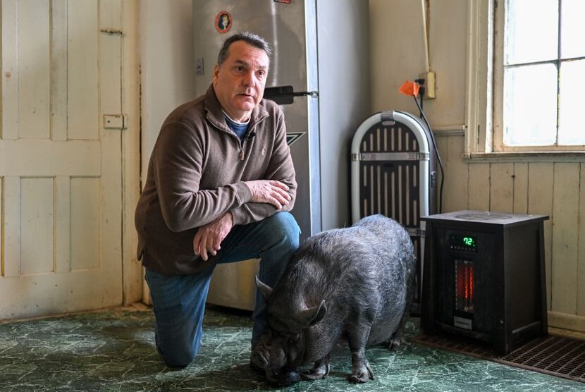 Pokrenuo pravnu bitku da bi zadržao svinju od 49 kilograma