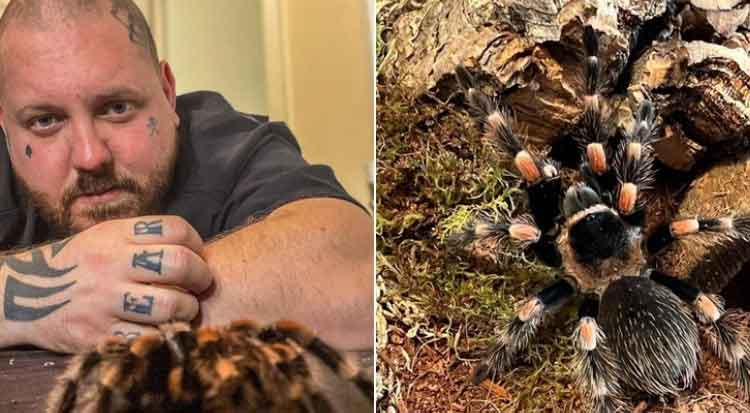 Neobičan hobi: Ima 120 tarantula u kući