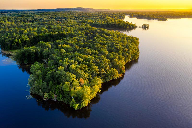 Amazonija u vanrednom stanju: Mogla bi od prašume da postane savana