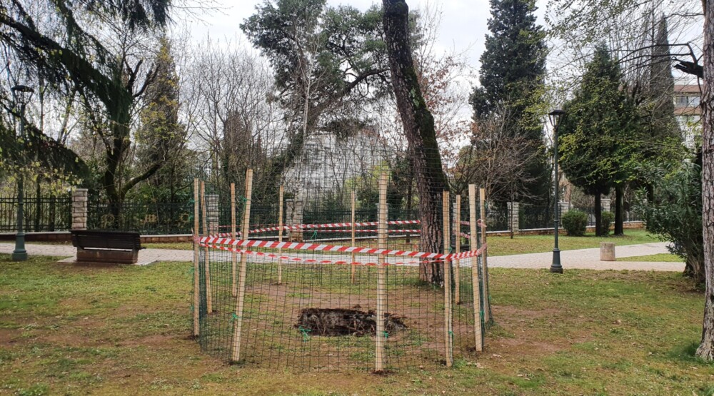 Kraljev park zatvoren za posjetioce: Došlo do urušavanja tla