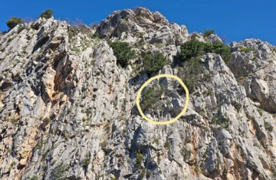 Bar: Koza preživjela sedam dana na litici