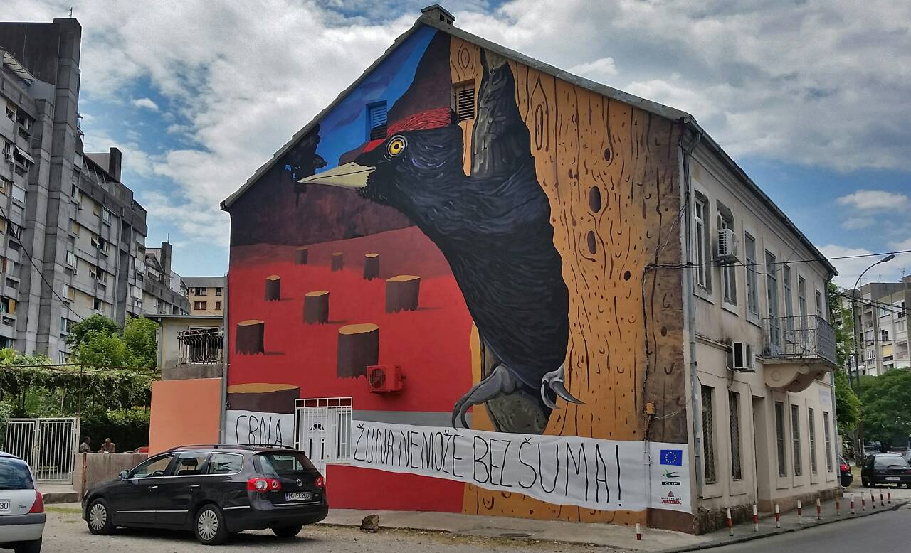 Umjetnost u podgoričkim kvartovima daje gradu lični imidž: Murali kao spona kulture, umjetnosti, ali i važnih društvenih poruka