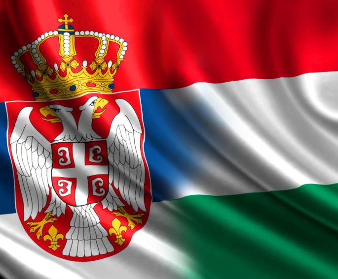 Đurđev: Mađarski otpor samoubilačkoj energetskoj politici Evropske unije je vredan putokaz i za Srbiju