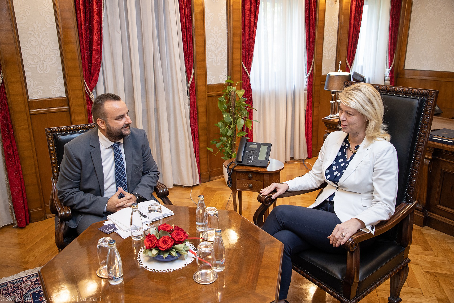 Predsjednica Skupštine razgovarala sa delegacijom Vestministerske fondacije za demokratiju