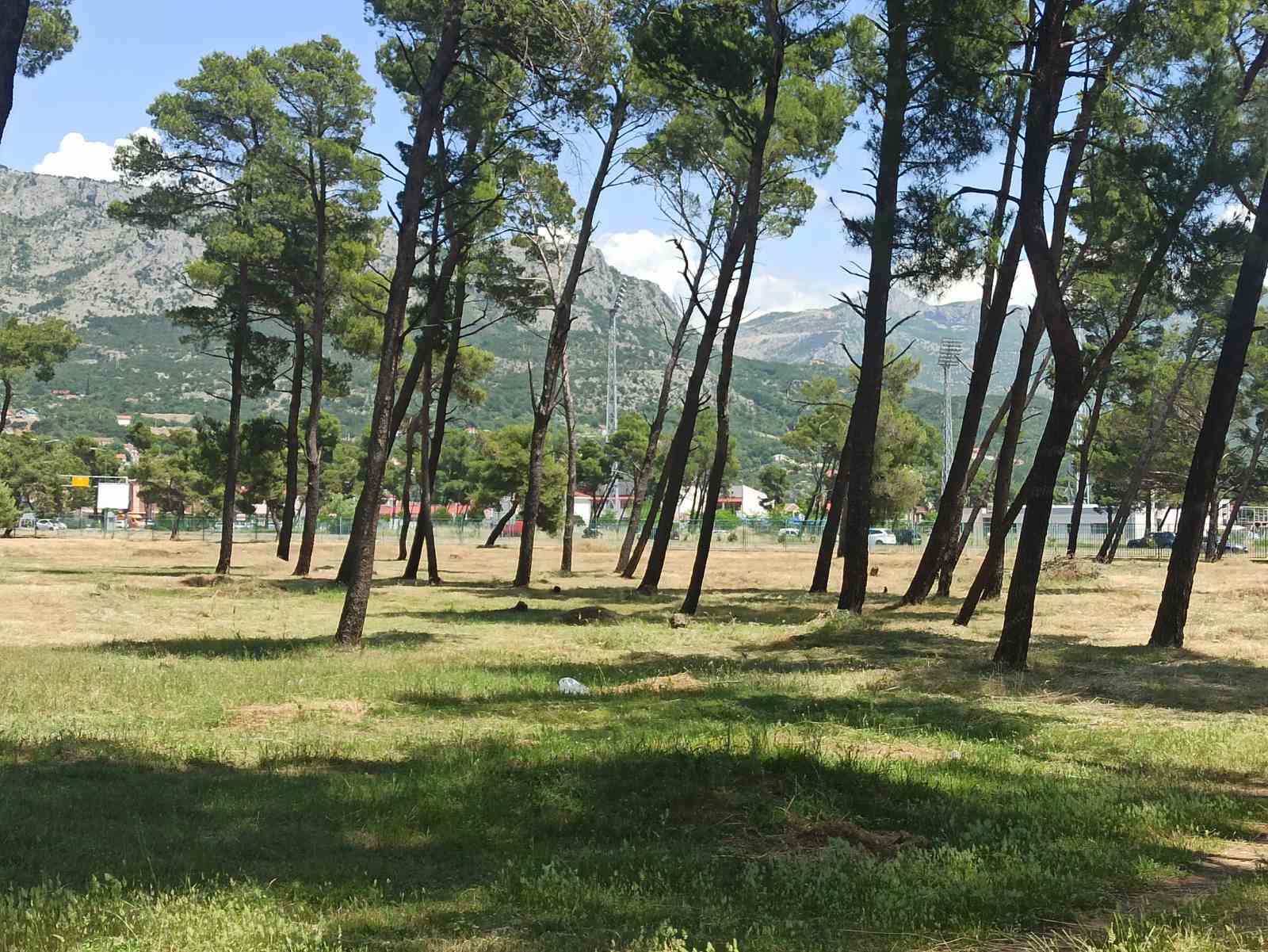 Bruka: Ivan Vuković poklonio Savićeviću i FSCG-u državnu zemlju i park na Zlatici!