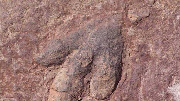 U ovom restoranu su pronađeni otisci dinosaursa stari 100 miliona godina