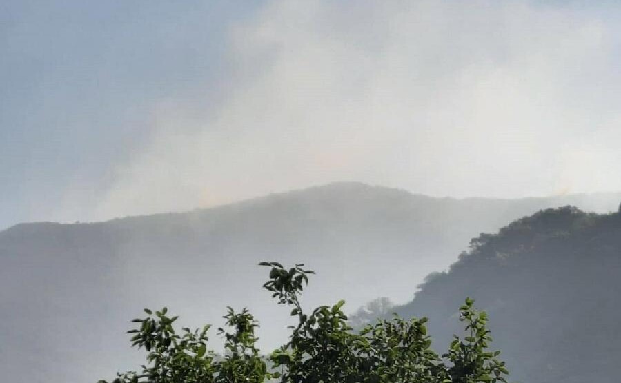 Požar u Herceg Novom se od jutros širi potpomognut vjetrom, kuće nisu ugrožene