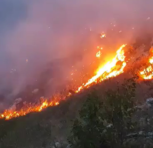 Požar na granici Crne Gore i BiH: Vatru gasi i Aviohelikopterske jedinice