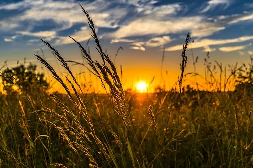 Danas sunčano do 36 stepeni