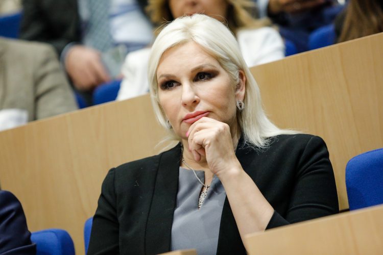 Mihajlović: Našem regionu potrebni su mir i stabilnost, sasvim nepotrebno stvaranje novih kriza i destabilizacija