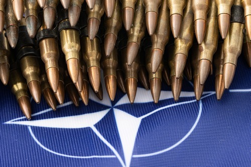 Sva beda NATO propagandista u Srbiji