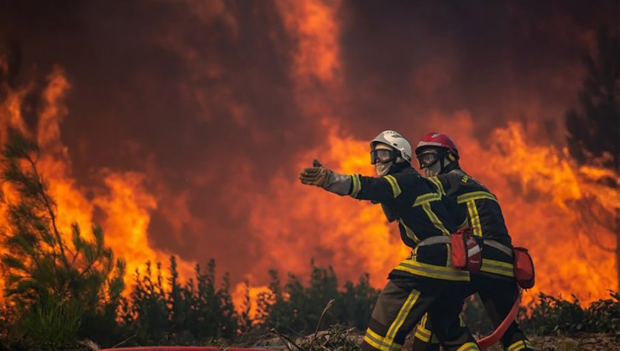 U Herceg Novom: Uhapšena osoba koja je podmetnula 10 požara na teritoriji Herceg Novog