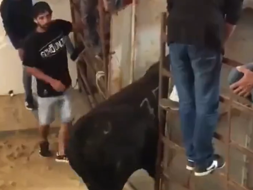 Instant karma: Htio da udari bika, ovaj ga zamalo nije nokautirao