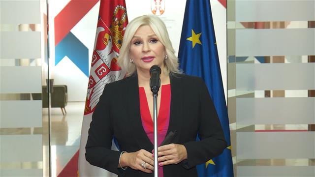 Mihajlović: Niko ko je zavisan od ruskog gasa danas ne može biti siguran