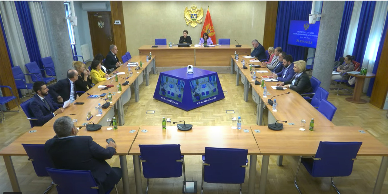Ustavni odbor utvrdio listu: Snežana Armenko, Ilija Vukčević, Jadranka Novaković i Jelena Ružičić kandidati za sudije Ustavnog suda