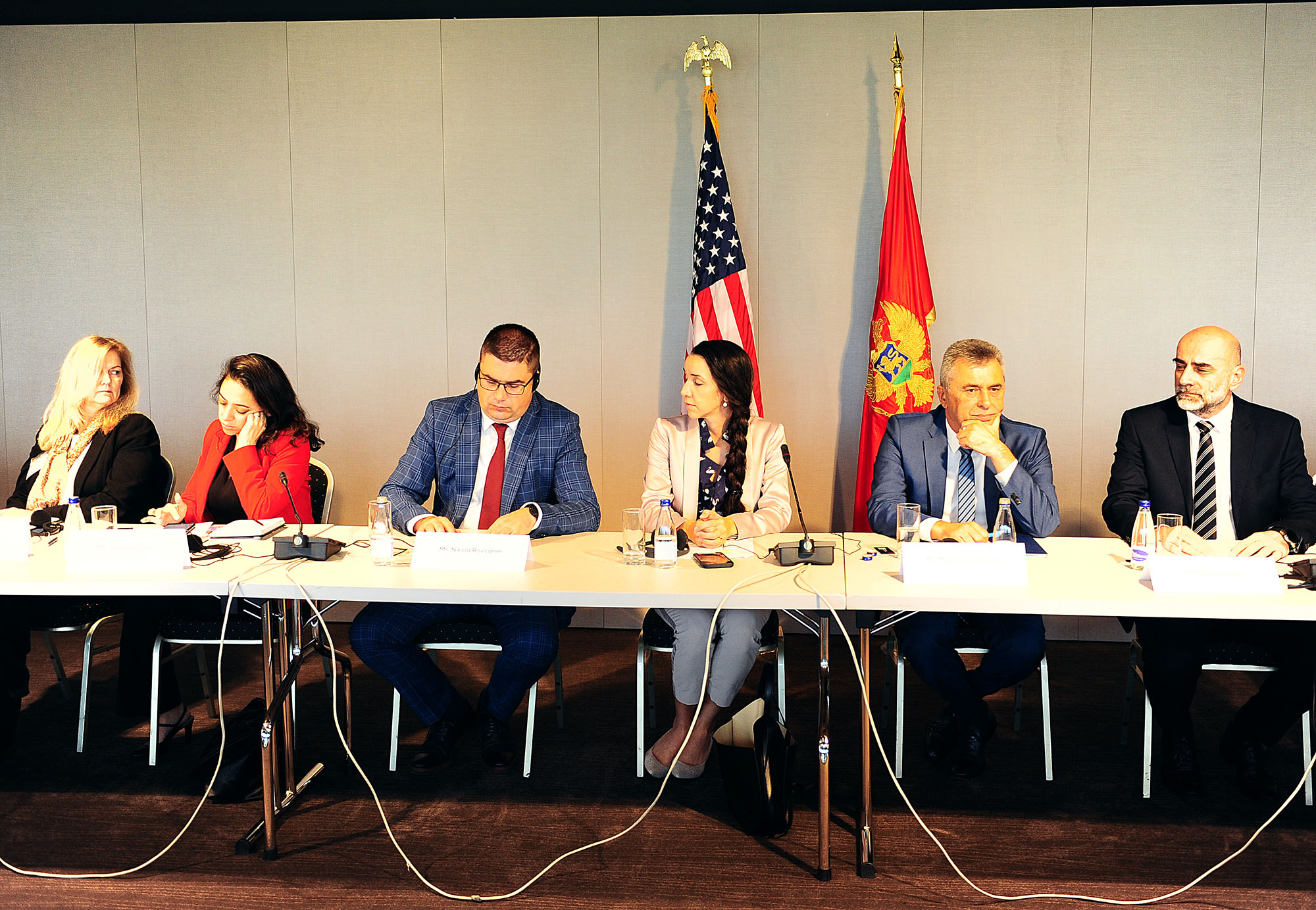 EPCG predstavila razvojne projekte američkim privrednicima