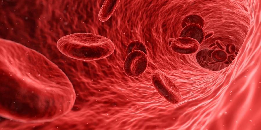 Kliničko testiranje: Prva transfuzija krvi napravljene u laboratoriji