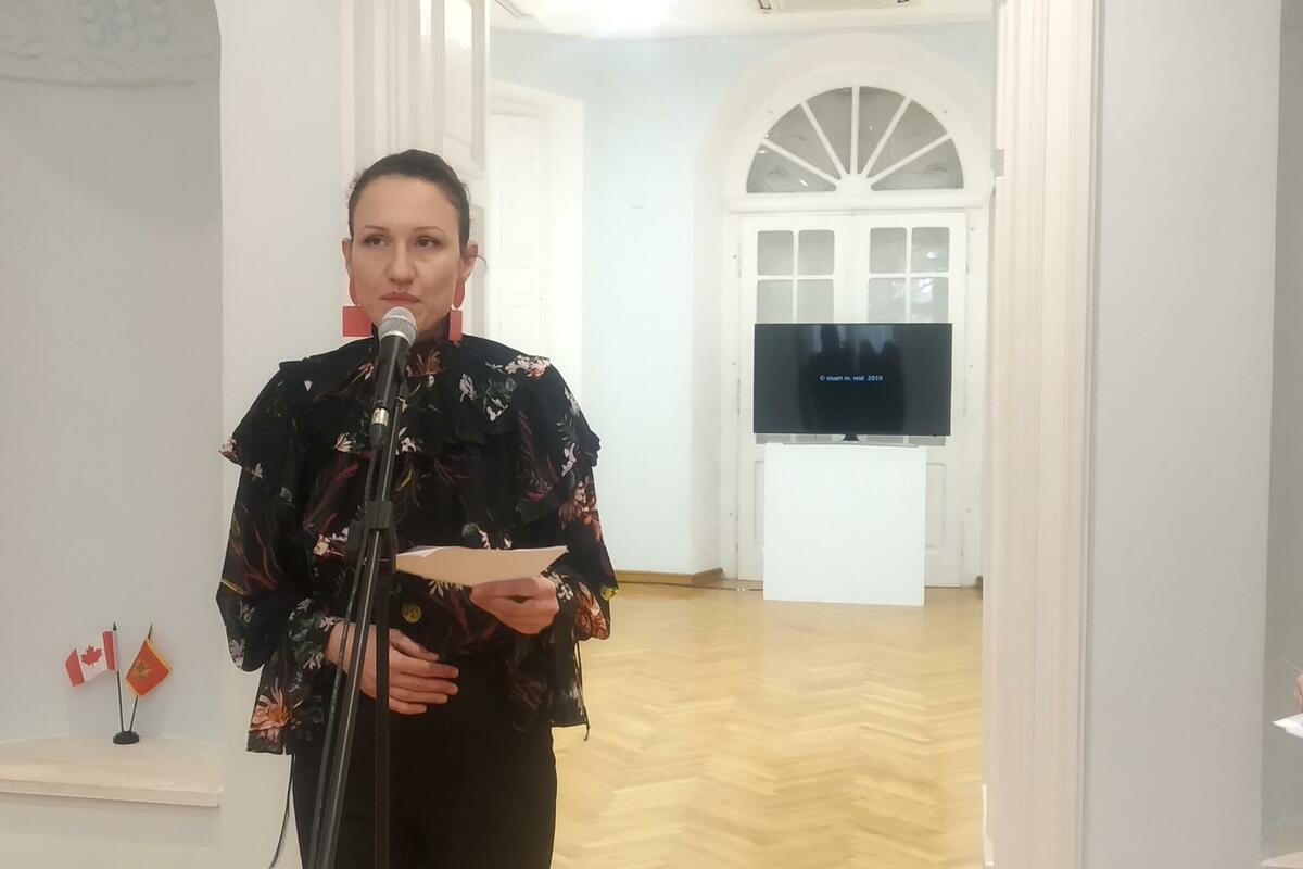 Božović: Ministarka Vlaović mi je prijetila medijskim linčom!