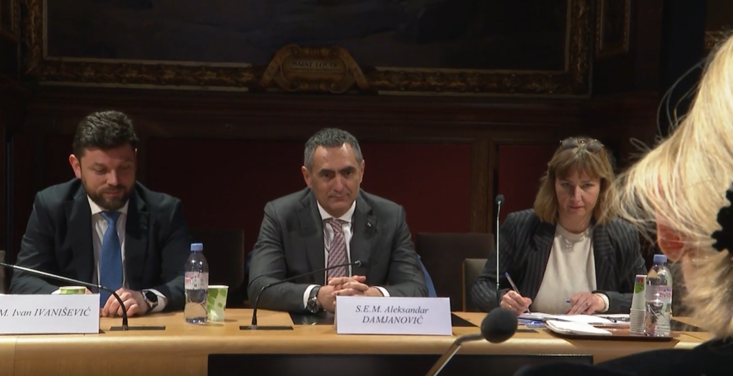 Damjanović u francuskom Senatu: Politička stabilnost Crne Gore preduslov za napredovanje ka EU