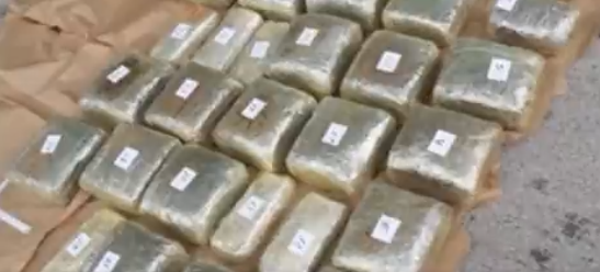 Akcija policije i SDT-a: Uhapšeno 18 osoba zbog šverca tone marihuane
