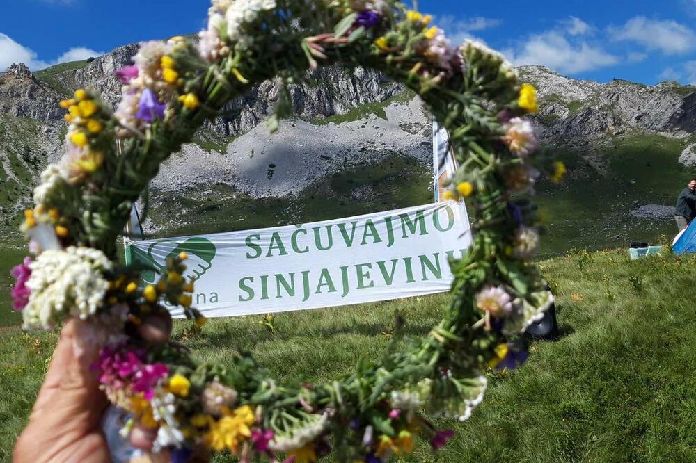 GI Sačuvajmo Sinjajevinu: Vlada i Ministarstvo odbrane spremaju vježbu na Sinjajevini?