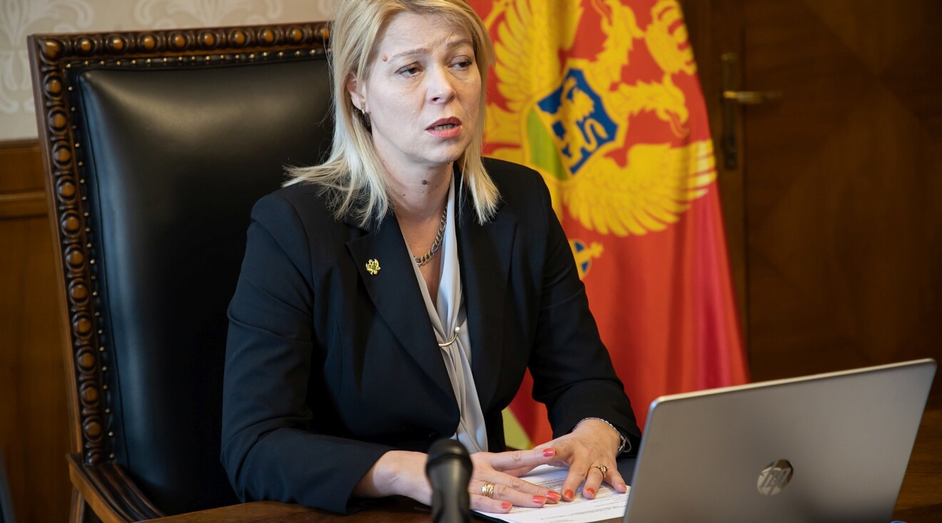 Đurović na digitalnoj inauguraciji švedskog predsjedavanja Savjetu Evropske unije