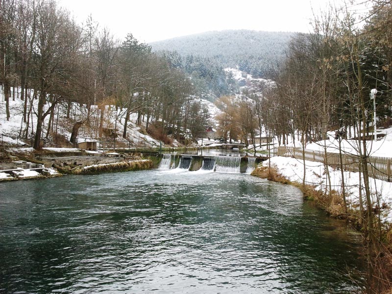 Pljevlja: Tijelo ženske osobe pronađeno u parku Vodice