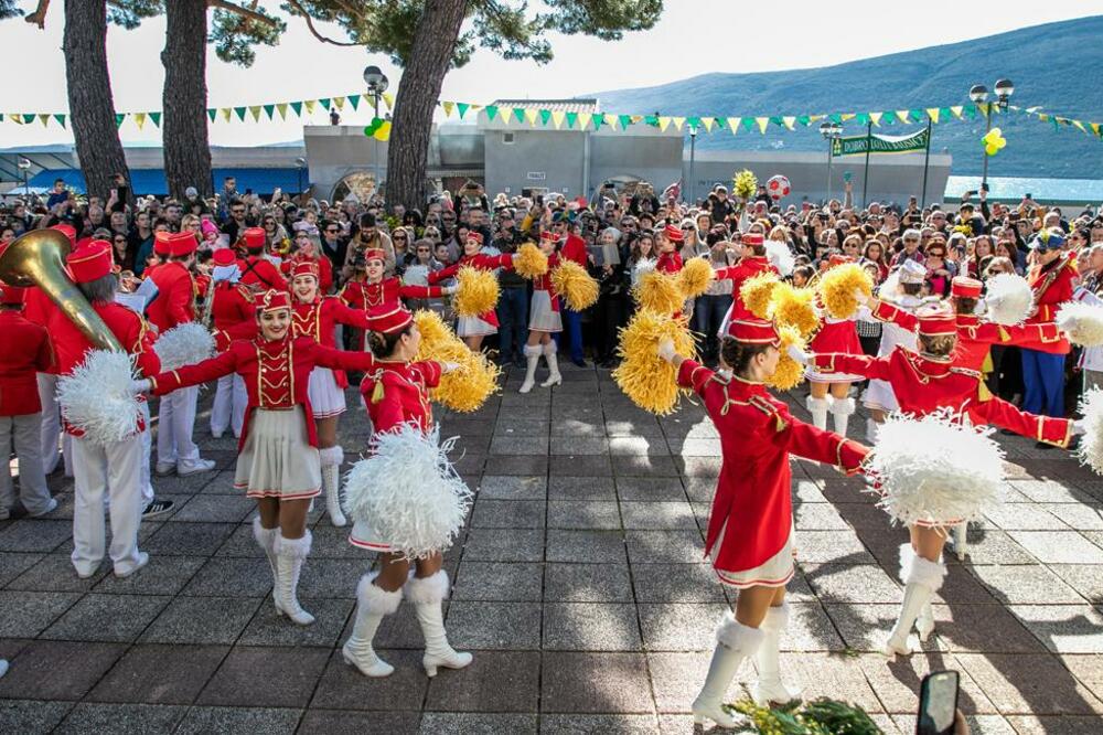 Herceg Novi: Počinje 54. Praznik mimoze